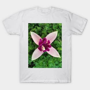 four petal floral fantasy with exotic center in purple and white T-Shirt